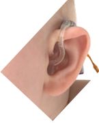 hearing aid ear