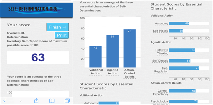 Bar graph showing a Self-Determination Inventory (SDI:SR) student report with scores of 45 for Decide, 46 for Act, and 46 for Believe.